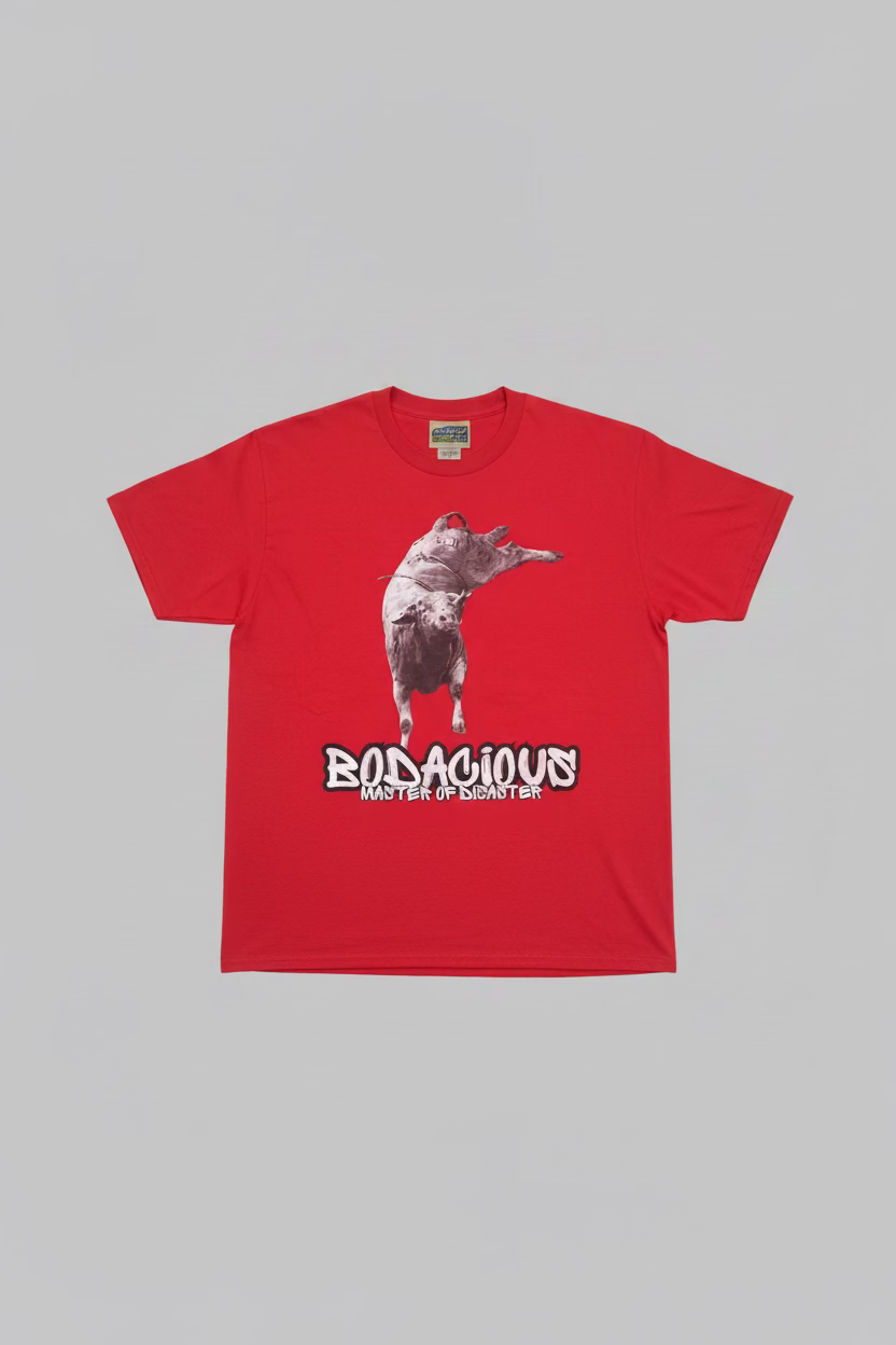 Bodacious - Master of Disaster