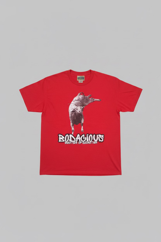 Bodacious - Master of Disaster